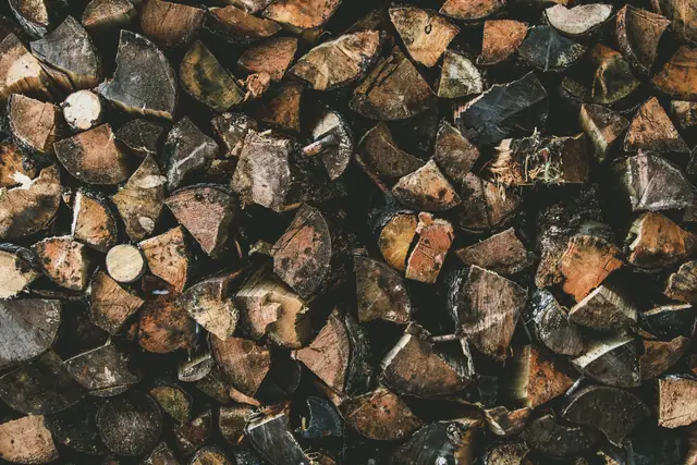 Le bois de chêne, rangé pour la semaine — Agrandir