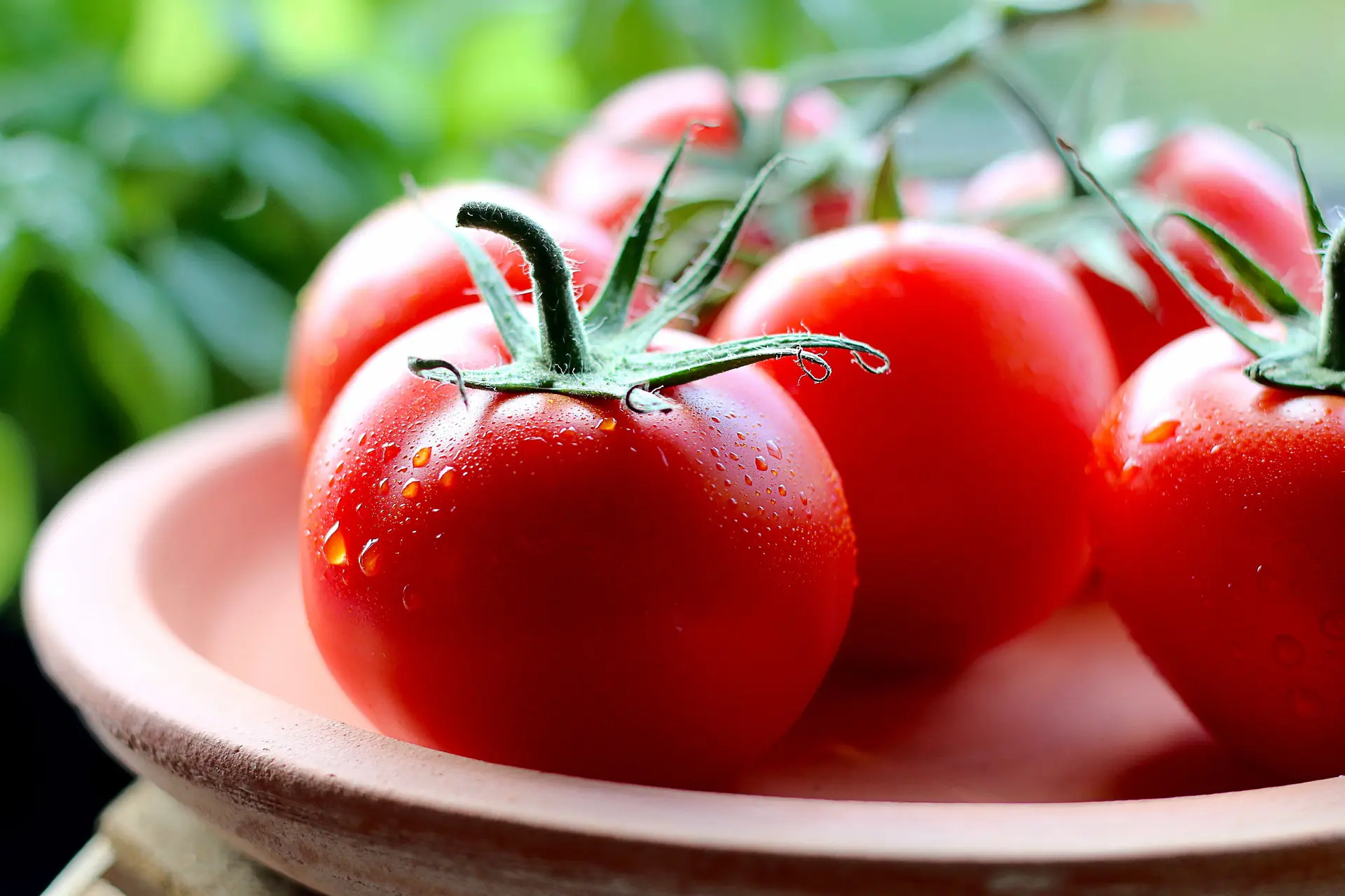 Le marché : des tomates mouillées, des asperges liées, des poivrons, des saucisses au romarin, l’huile et les épices